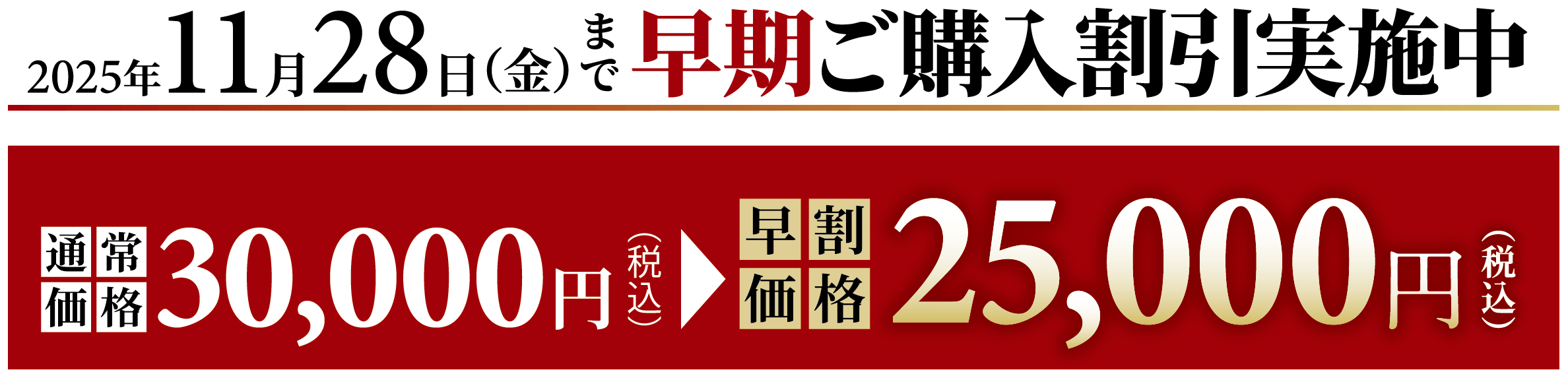 2025年11月28日(金)まで早期ご購入割引実施中!通常価格30,000円(税込)→早割価格25,000円(税込)