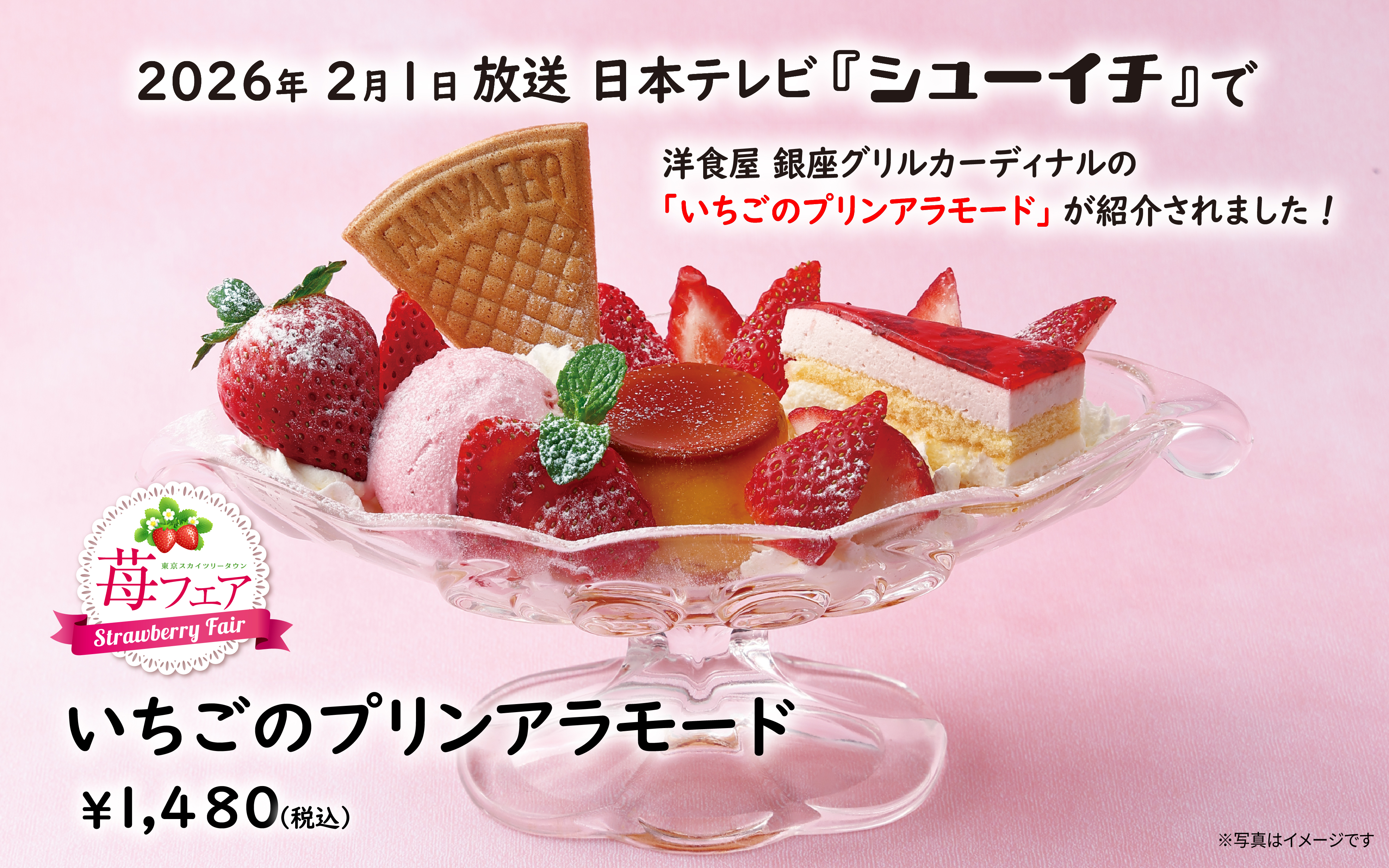 2026年2月1日放送 日本テレビ「シューイチ」で 洋食屋 銀座グリルカーディナルの〈いちごのプリンアラモード〉が紹介されました！
